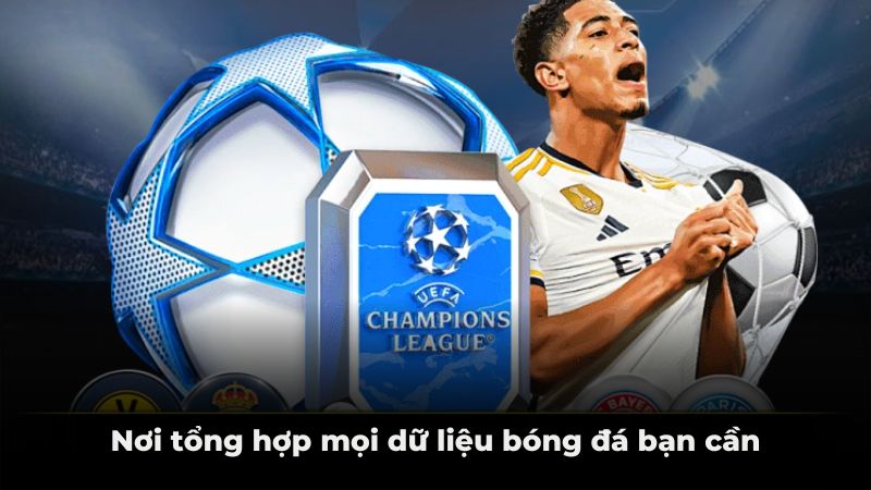 Nơi tổng hợp mọi dữ liệu bóng đá bạn cần