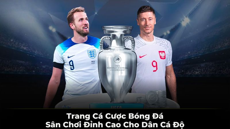 Trang cá cược bóng đá cam kết bảo mật an toàn