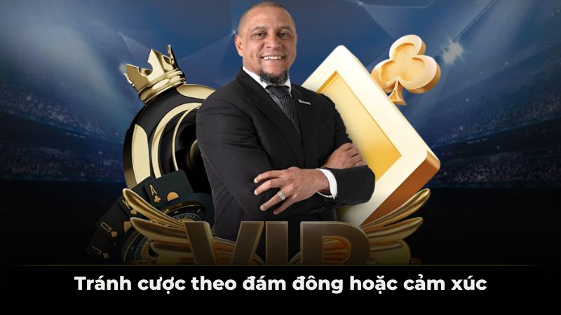 Tránh cược theo đám đông hoặc cảm xúc