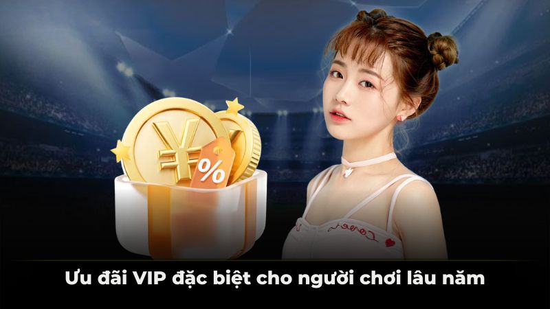 Ưu đãi VIP đặc biệt cho người chơi lâu năm